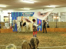 IMG_5268_web